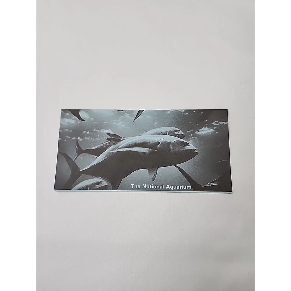 1973 National Aquarium Washington DC Fish Vintage Tourist Travel Brochure